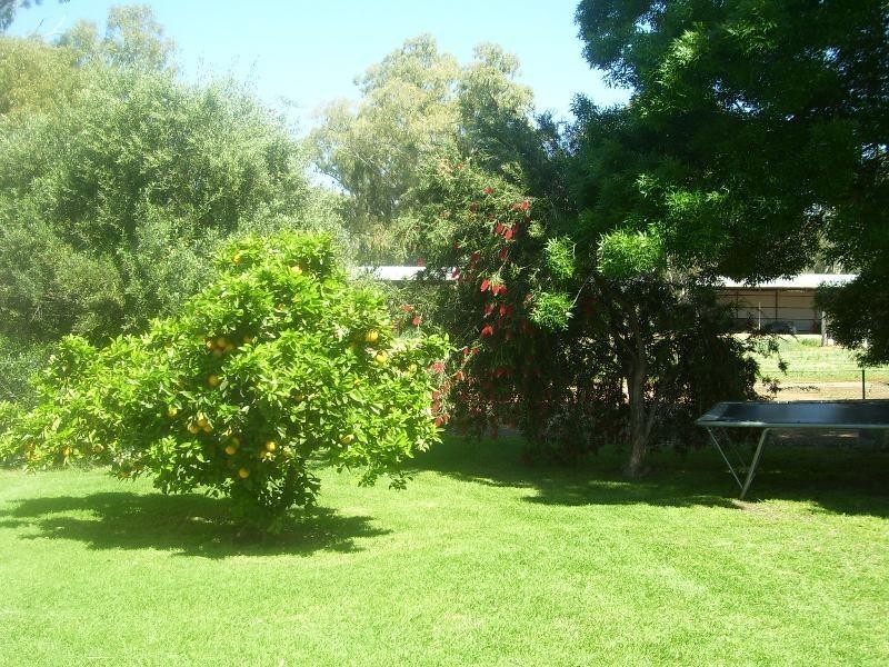 Innisfail Newell Highway, Parkes NSW 2870