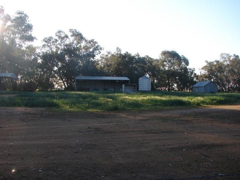 Innisfail Newell Highway, Parkes NSW 2870