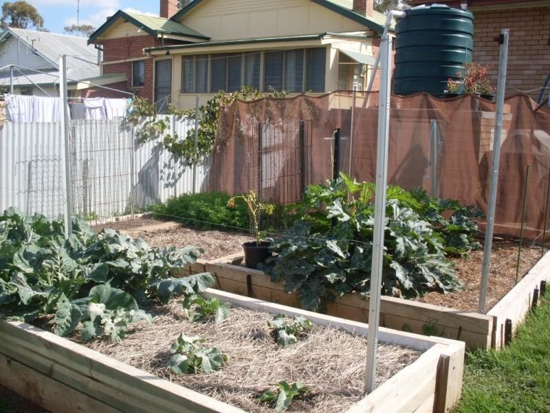 11a Coleman Road, Parkes NSW 2870