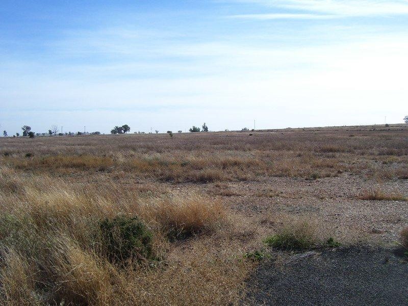 Lot 5 Back Trundle Road, Parkes NSW 2870