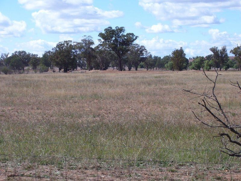 Lot 3 Coopers Lane, Parkes NSW 2870