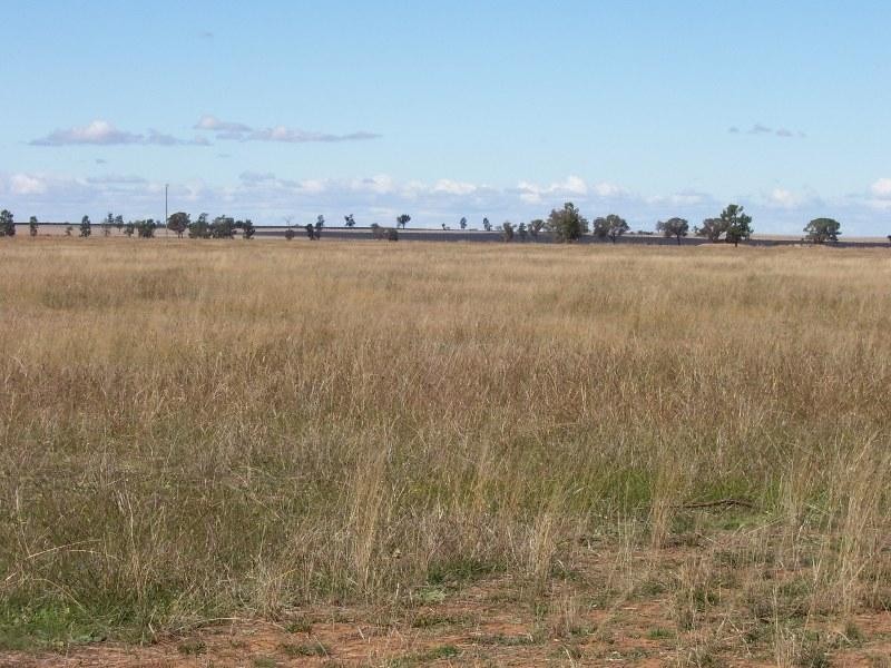 Lot 3 Coopers Lane, Parkes NSW 2870