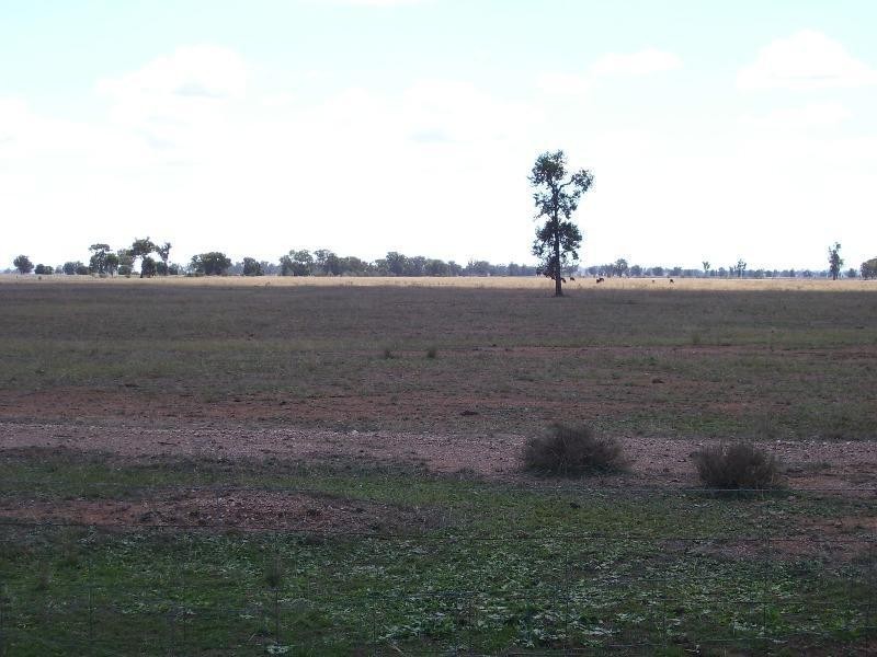 Lot 3 Coopers Lane, Parkes NSW 2870