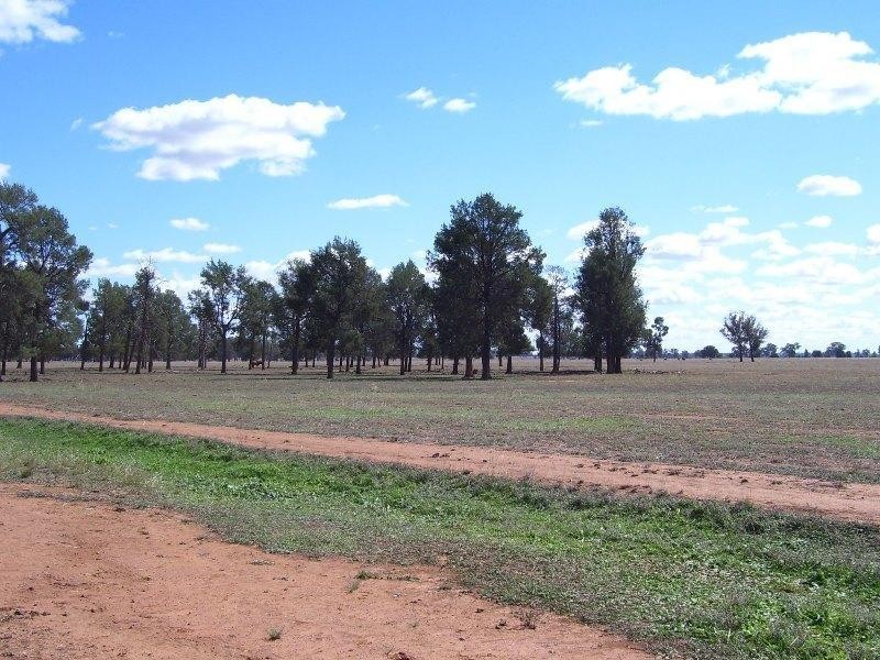 Lot 3 Coopers Lane, Parkes NSW 2870