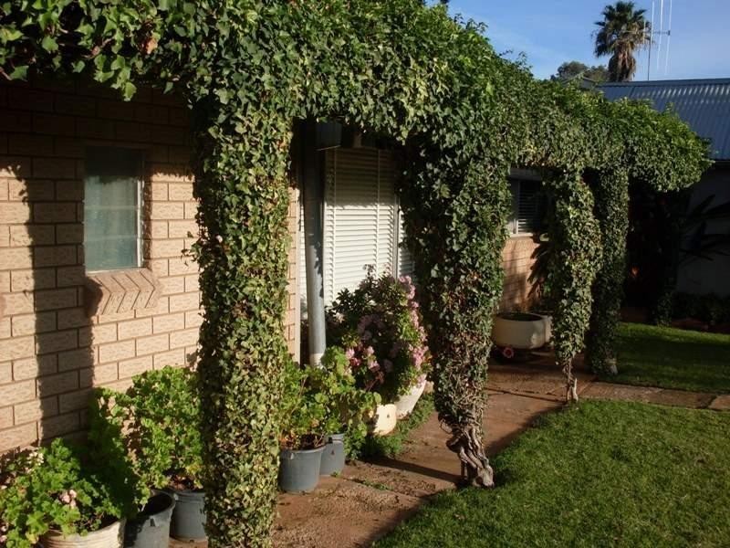 20 Junction Street, Parkes NSW 2870