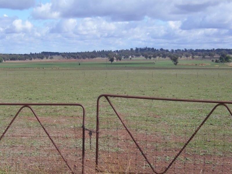 258 Cons Lane, Parkes NSW 2870