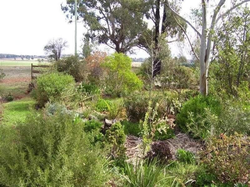 258 Cons Lane, Parkes NSW 2870