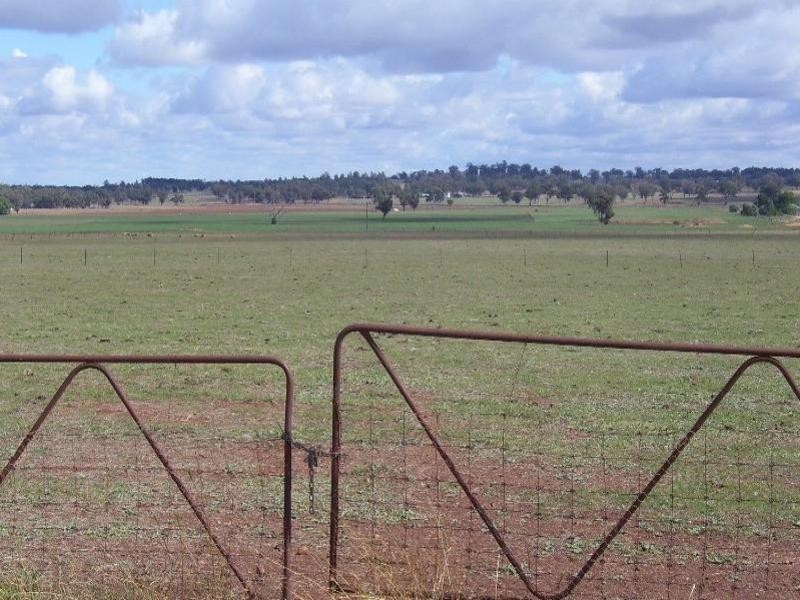 258 Cons Lane, Parkes NSW 2870