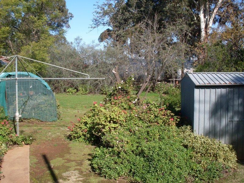 19 Macarthur Street, Parkes NSW 2870