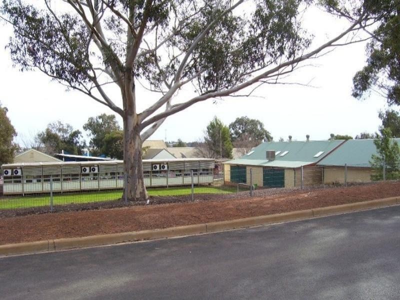 31 Park Street, Parkes NSW 2870