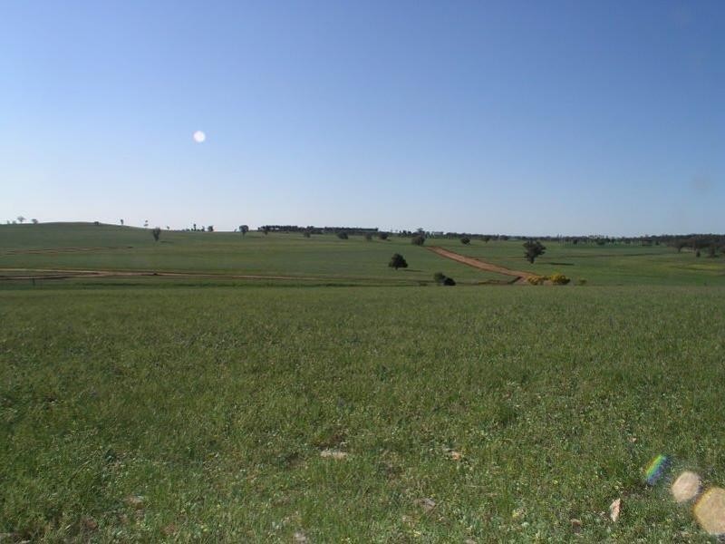 . Calarie Road, Forbes NSW 2871