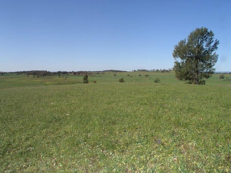 . Calarie Road, Forbes NSW 2871