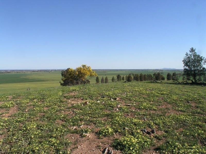 . Calarie Road, Forbes NSW 2871