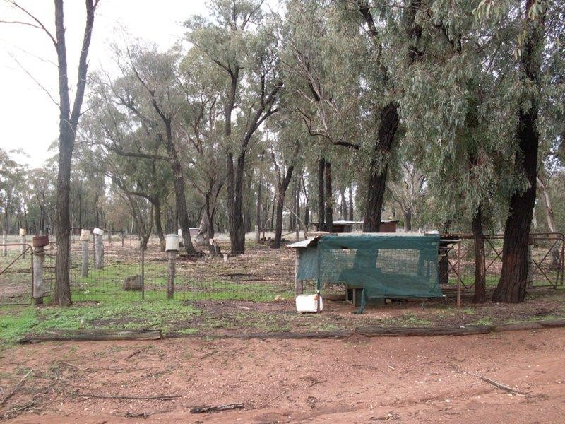 1385 Adavale Lane, Goonumbla NSW 2870