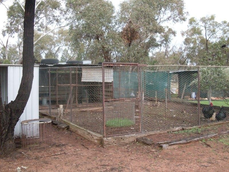 1385 Adavale Lane, Goonumbla NSW 2870