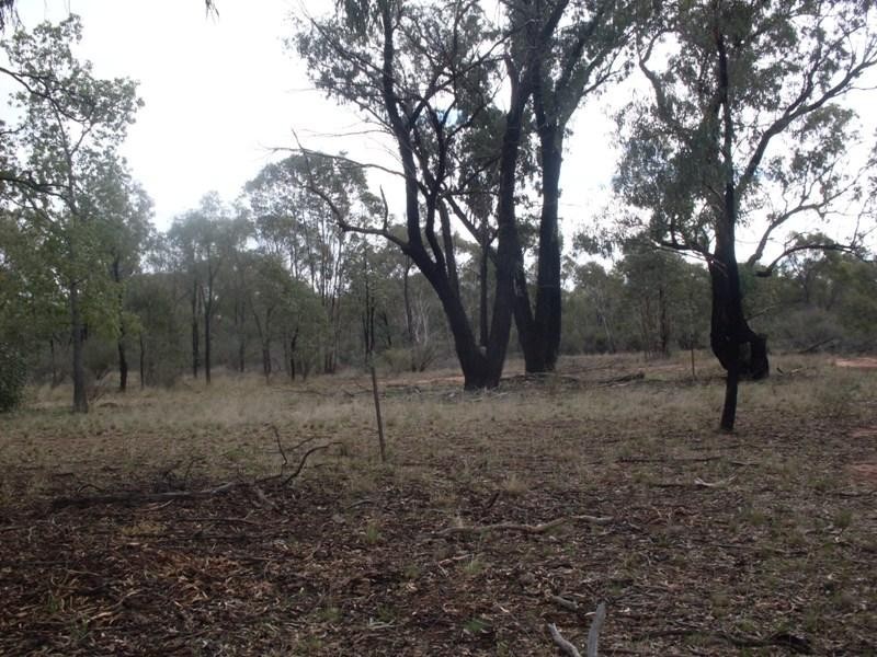 1385 Adavale Lane, Goonumbla NSW 2870