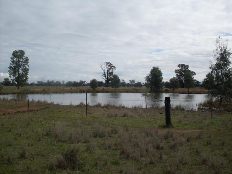 1385 Adavale Lane, Goonumbla NSW 2870