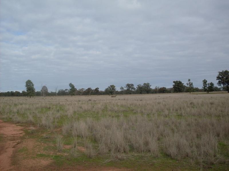 1385 Adavale Lane, Goonumbla NSW 2870