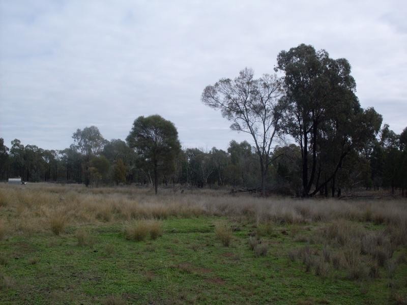 1385 Adavale Lane, Goonumbla NSW 2870