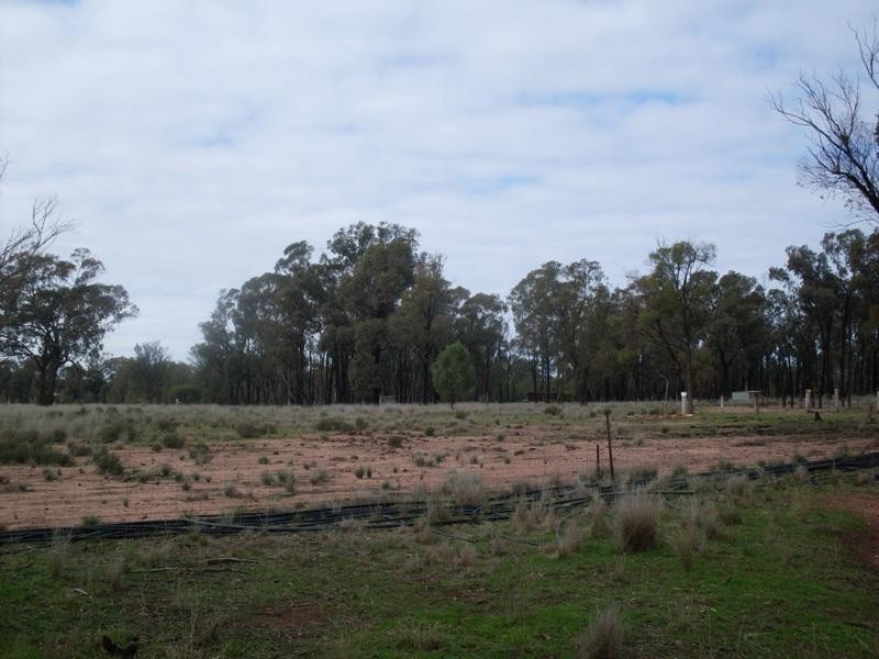 1385 Adavale Lane, Goonumbla NSW 2870