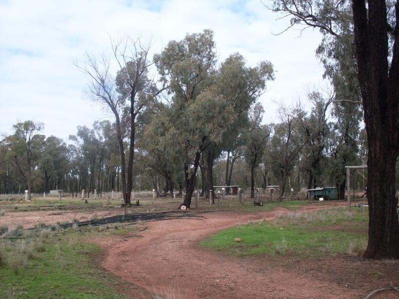 1385 Adavale Lane, Goonumbla NSW 2870