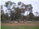 1385 Adavale Lane, Goonumbla NSW 2870