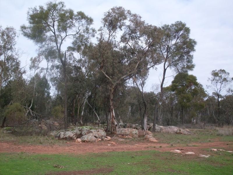 1385 Adavale Lane, Goonumbla NSW 2870