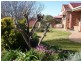 3 Flinders Street, Parkes NSW 2870