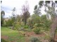 258 Cons Lane, Parkes NSW 2870