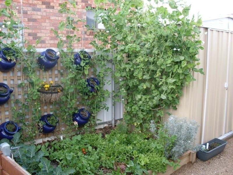 35 Thornbury Street, Parkes NSW 2870