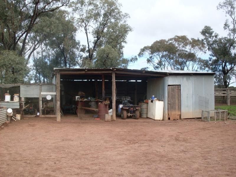 Trelawney Adavale Lane, Trundle NSW 2875