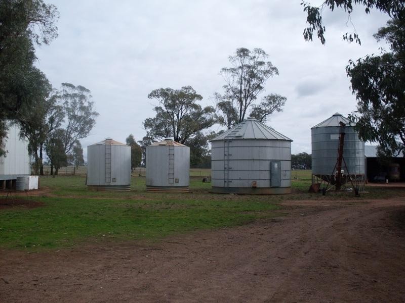 Trelawney Adavale Lane, Trundle NSW 2875