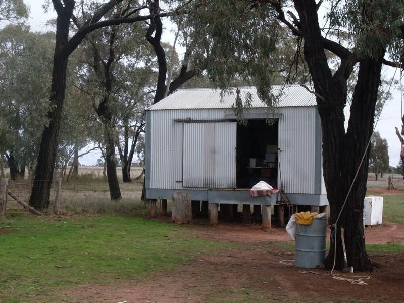 Trelawney Adavale Lane, Trundle NSW 2875