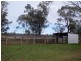 Trelawney Adavale Lane, Trundle NSW 2875
