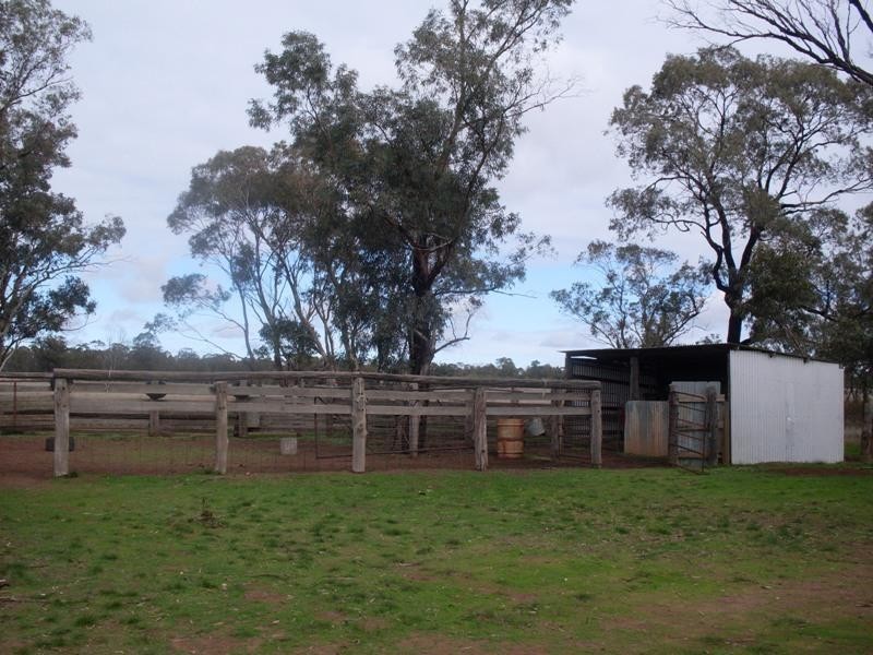 Trelawney Adavale Lane, Trundle NSW 2875