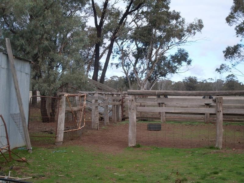 Trelawney Adavale Lane, Trundle NSW 2875