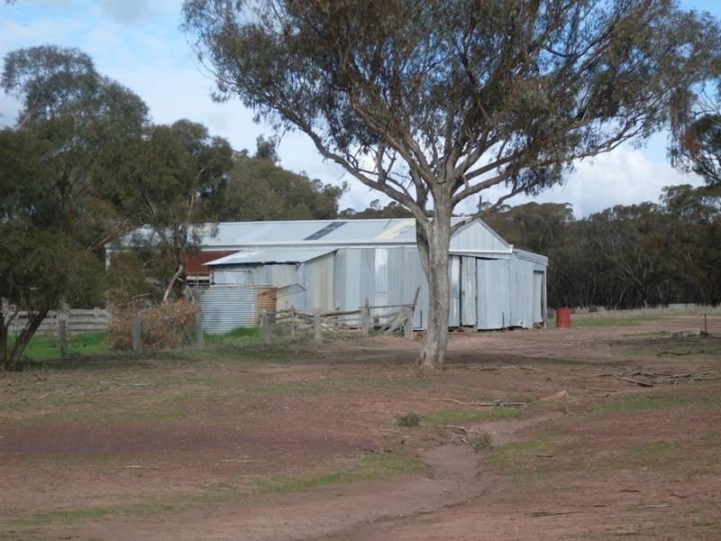 Trelawney Adavale Lane, Trundle NSW 2875