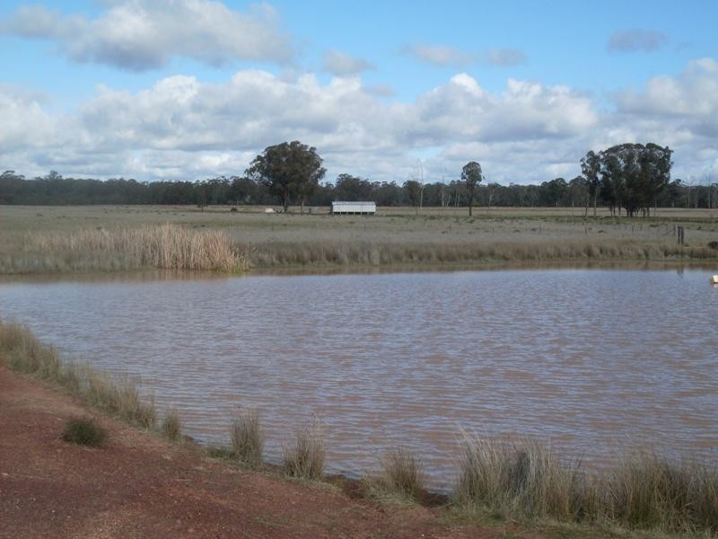 Trelawney Adavale Lane, Trundle NSW 2875