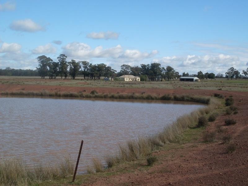 Trelawney Adavale Lane, Trundle NSW 2875