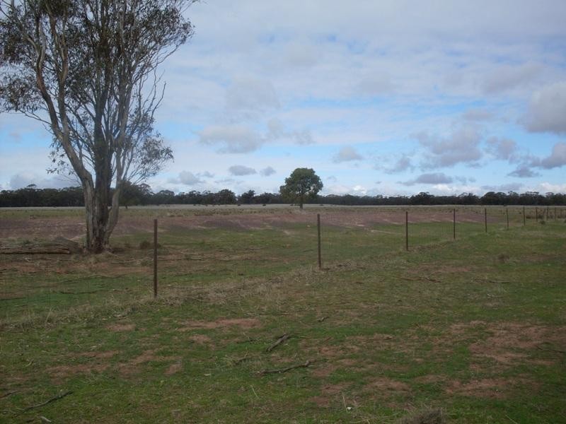 Trelawney Adavale Lane, Trundle NSW 2875