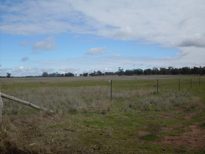 Trelawney Adavale Lane, Trundle NSW 2875