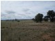 Trelawney Adavale Lane, Trundle NSW 2875