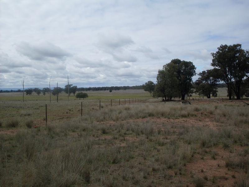 Trelawney Adavale Lane, Trundle NSW 2875