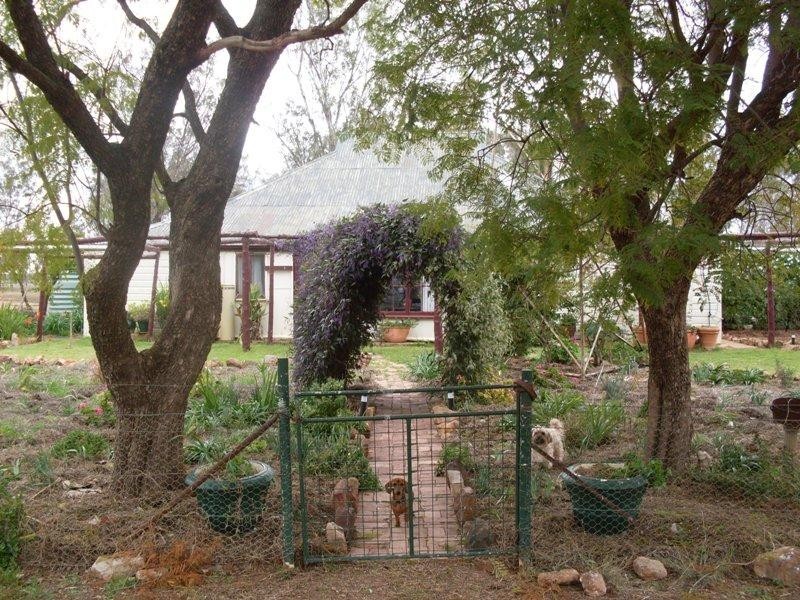 Oakvale Back Peak HIll Road, Peak Hill NSW 2869