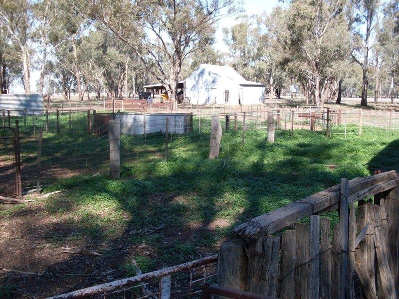 Oakvale Back Peak HIll Road, Peak Hill NSW 2869