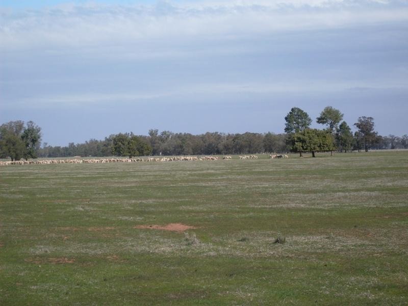 Oakvale Back Peak HIll Road, Peak Hill NSW 2869