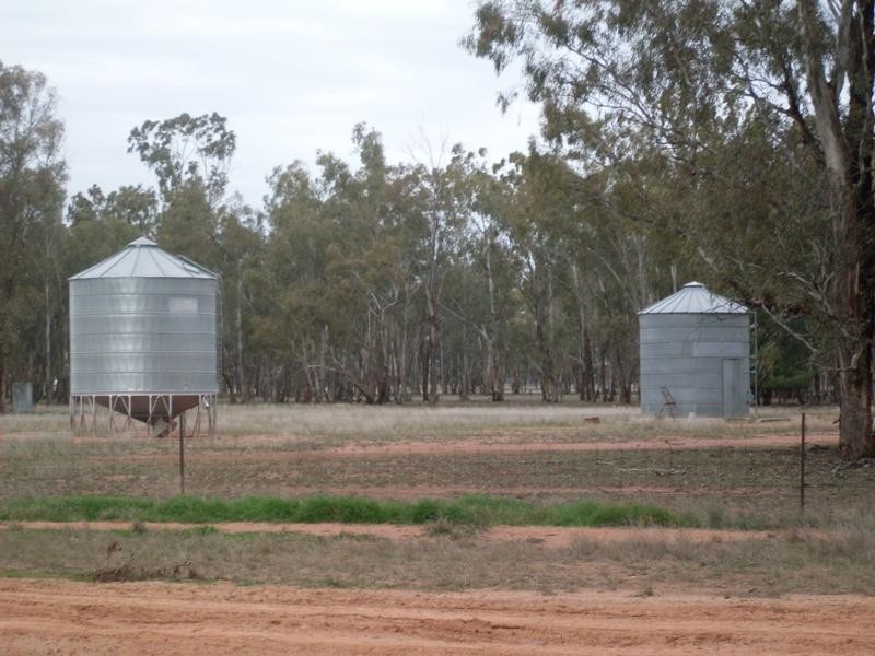 Oakvale Back Peak HIll Road, Peak Hill NSW 2869