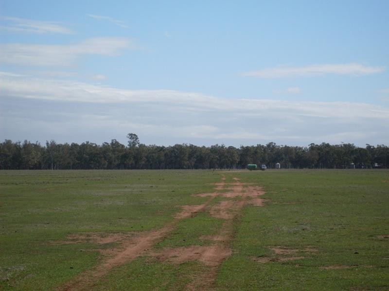 Oakvale Back Peak HIll Road, Peak Hill NSW 2869