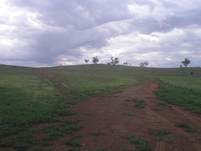 Lot 20 Lindsay Thomas Drive, Parkes NSW 2870