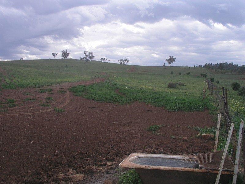 Lot 20 Lindsay Thomas Drive, Parkes NSW 2870